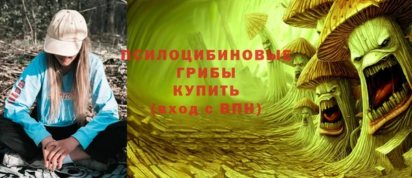 ПСИЛОЦИБИНОВЫЕ ГРИБЫ Краснотурьинск