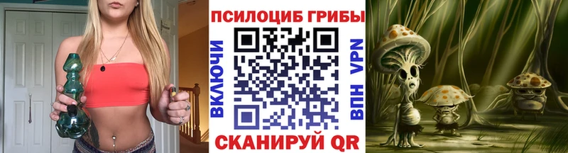 Галлюциногенные грибы Magic Shrooms  Купить  Свободный 
